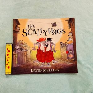 Test Book - The Scallywags by David Melling